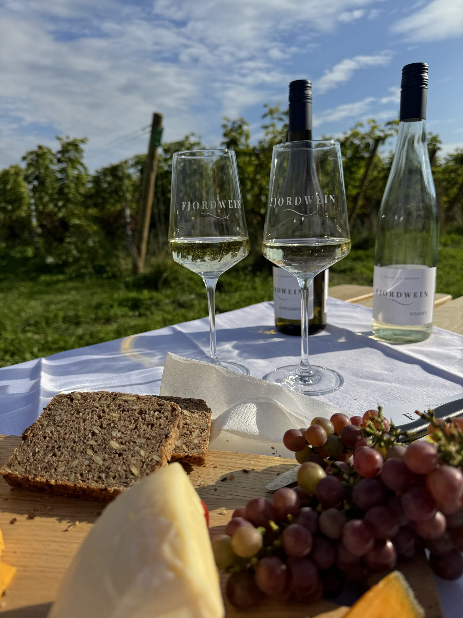 Fjordwein-Picknick